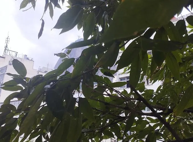 Apartamento No Humaita Rio de Janeiro